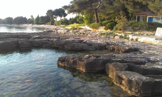 Apartment Ornela Ουμάγκ Εξωτερικό φωτογραφία